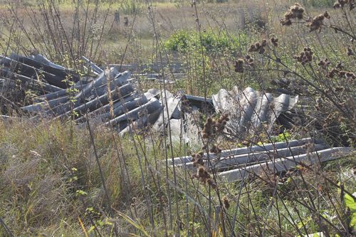 Фото Управления Россельхознадзора по Хакасии и Туве